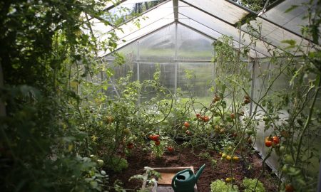 gardening-benefits-4